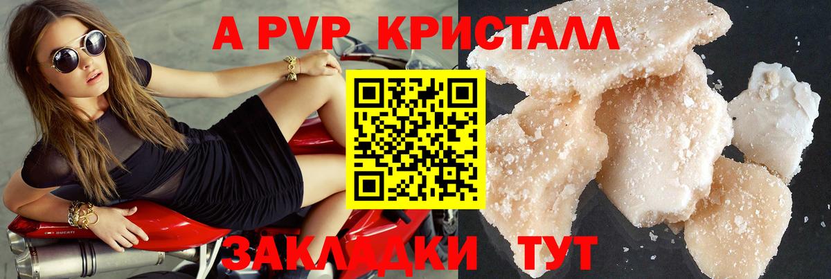 Alfa_PVP СК КРИС Кандалакша