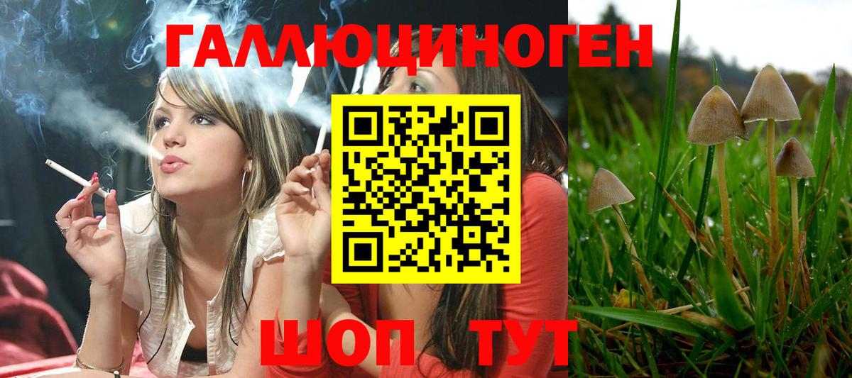 Кандалакша  Псилоцибиновые грибы Psilocybine cubensis  Вход с VPN 