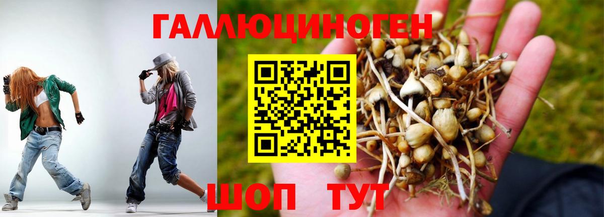 Галлюциногенные грибы GOLDEN TEACHER Кандалакша